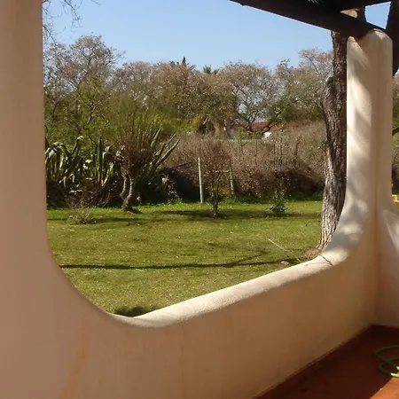 Orange Tree Holiday home