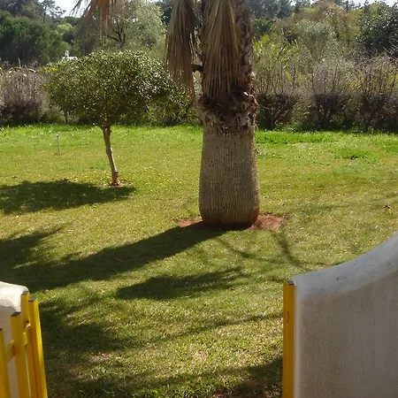 Orange Tree Holiday home